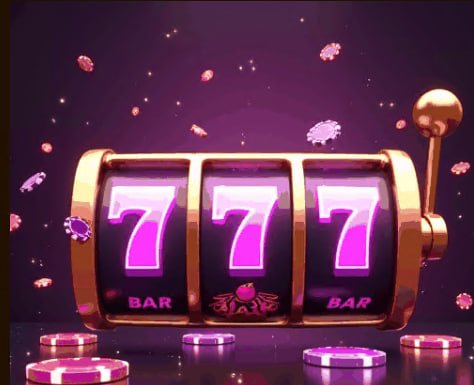 win788
